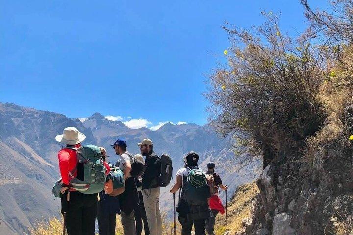 Colca Canyon 3 Day Hiking Adventure from Arequipa