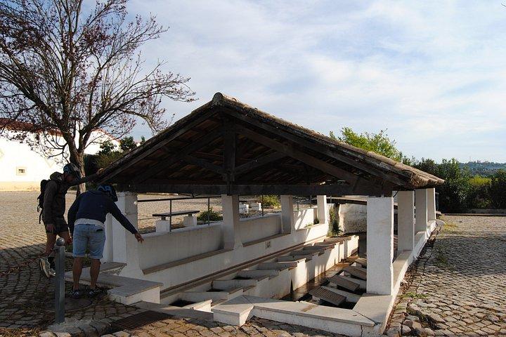 トロットEバイクで行く本格アルガルヴェ田園ツアー