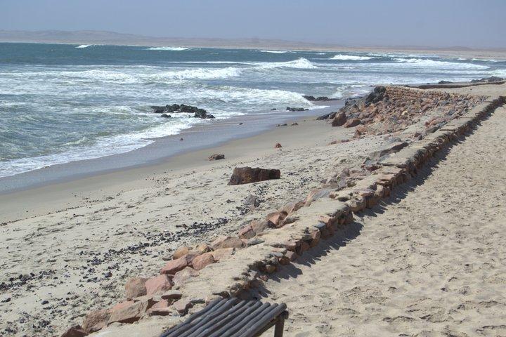 Cape Cross Seal Colony and Skeleton Coast Namibia Guided Tour