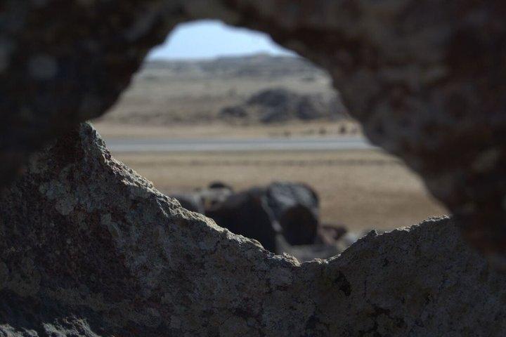 Cape Cross Seal Colony and Skeleton Coast Namibia Guided Tour