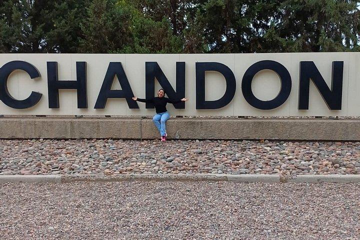 Chandon + 2 cantine + Olivicola