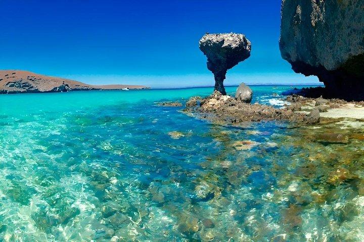 アシカシュノーケリング付きエスピリトゥサント島ツアー