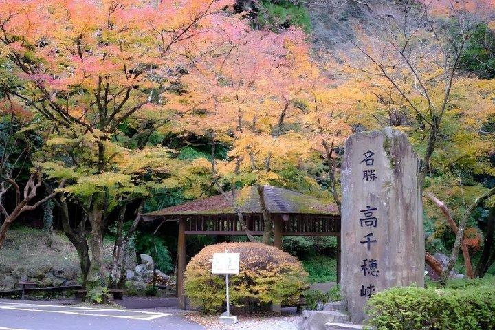 Excursión de un día a la garganta y el santuario Takachiho de Miyazaki con salida desde Fukuoka