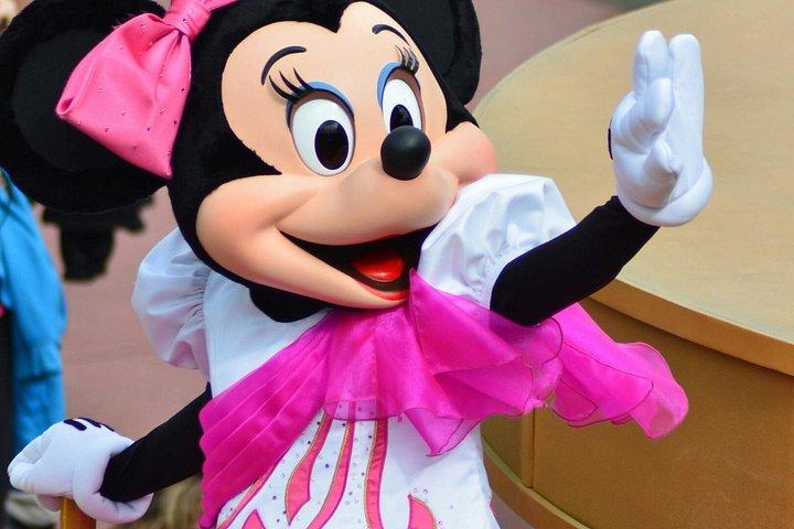 CDG、オルリー、パリ間のディズニーランド・パリのプライベート送迎