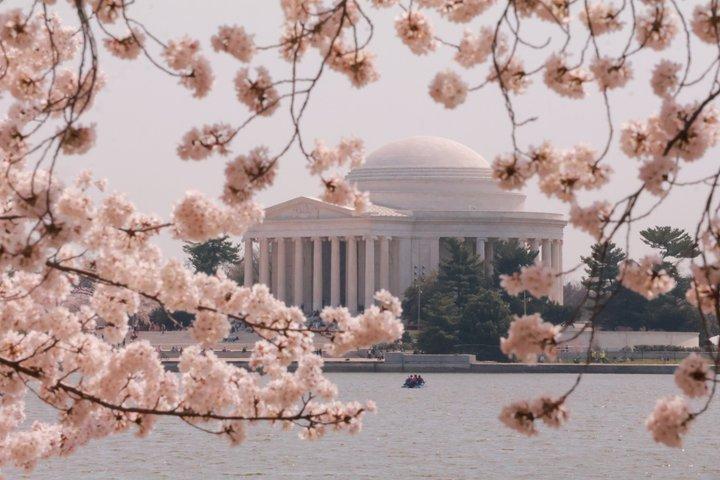 Small Group Washington DC City Landmarks, Monuments Half Day Tour