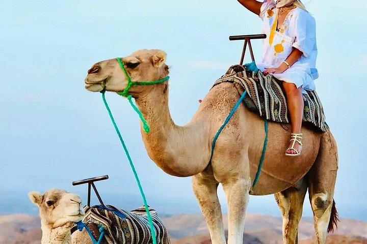 Agafay Avontuur: Quadrijden, kameelrit & dinershow Marrakech