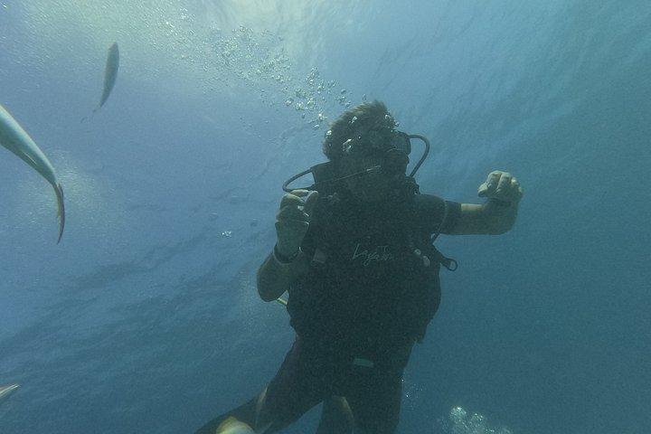 Punta Cana: PADI Open Water Scuba Certification (2–3 Days)