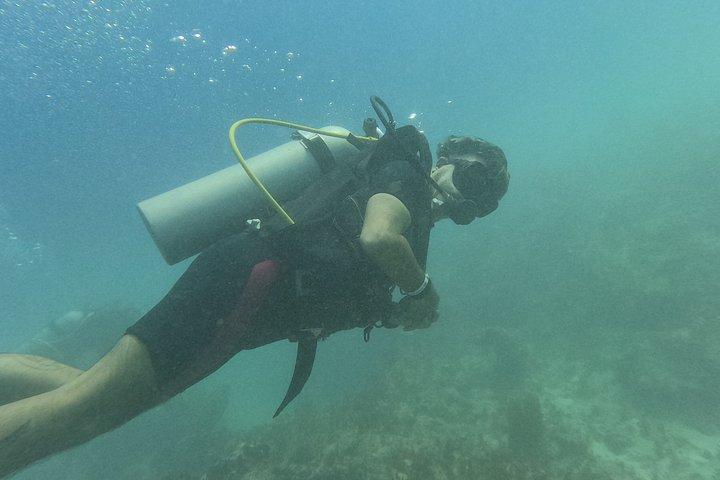 Punta Cana: PADI Open Water Scuba Certification (2–3 Days)