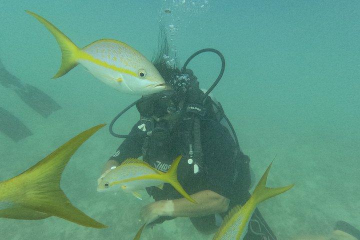 Punta Cana: PADI Open Water Scuba Certification (2–3 Days)