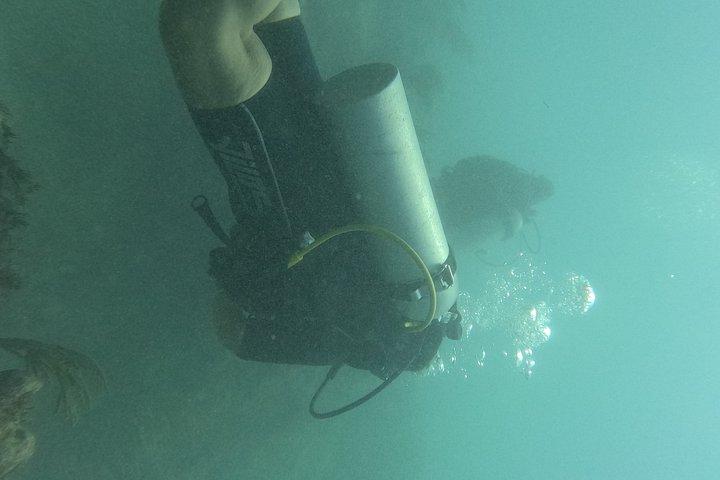 Punta Cana: PADI Open Water Scuba Certification (2–3 Days)