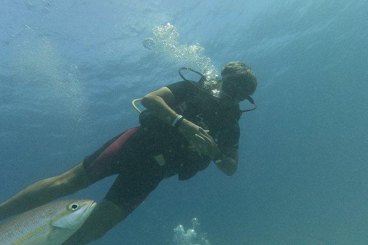 Punta Cana: PADI Open Water Scuba Certification (2–3 Days)