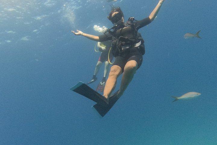 Punta Cana: PADI Open Water Scuba Certification (2–3 Days)