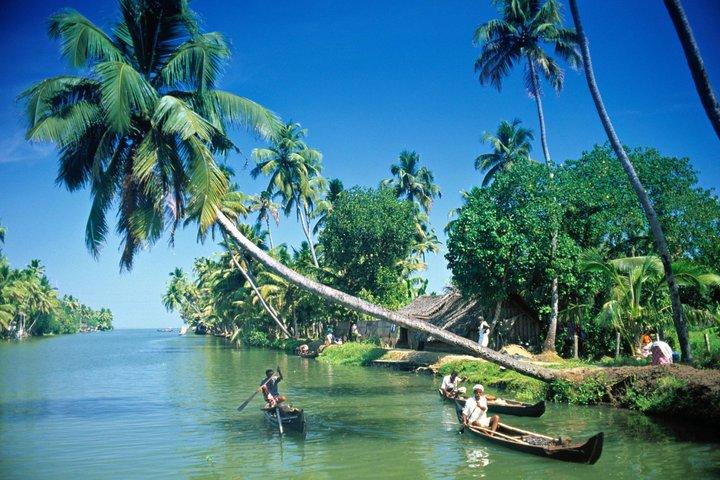 Best of Kerala: 8-Day Private Tour with Hotel & Houseboat Stay