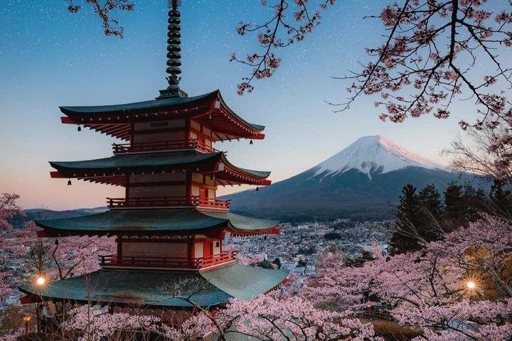 英語ドライバー付き富士山プライベートツアー