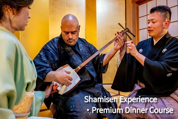 TOKYO:Traditional Geisha Show&(Japanese Dinner or tea ceremony)