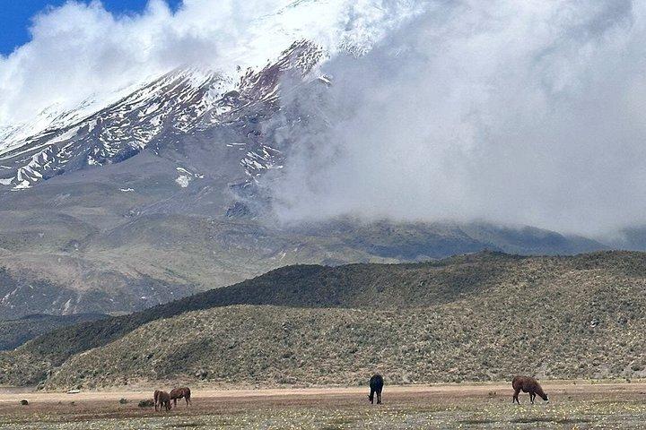 Volcan Cotopaxi, au départ de Quito, excursion PRIVÉE, déjeuner inclus