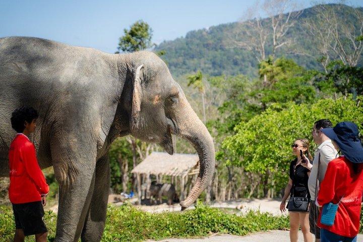Visita guiada a Patong Hilltribe Ethical Elephant Village