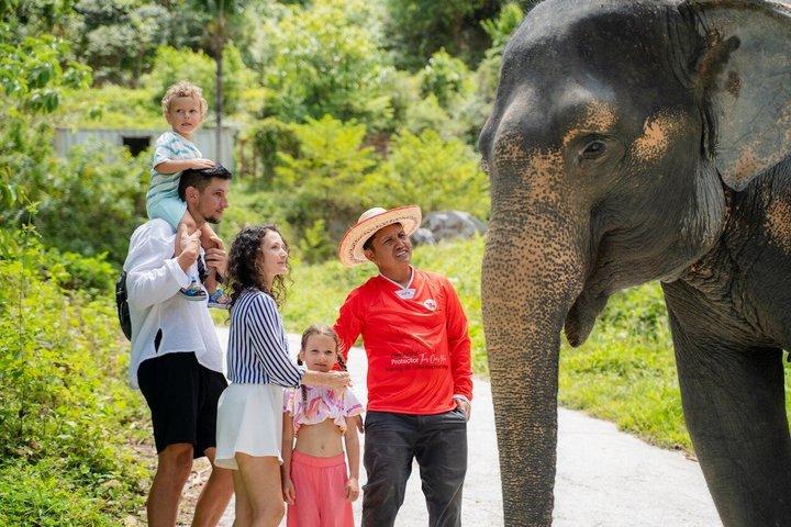 Visita guiada a Patong Hilltribe Ethical Elephant Village