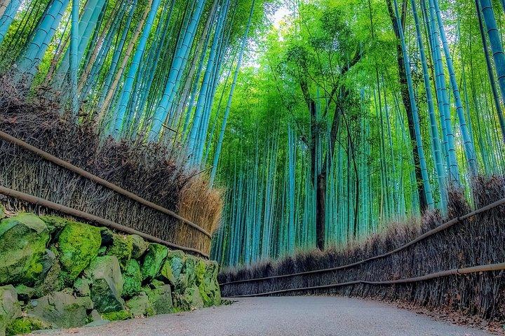 Visite privée personnalisée de 1 jour à Kyoto