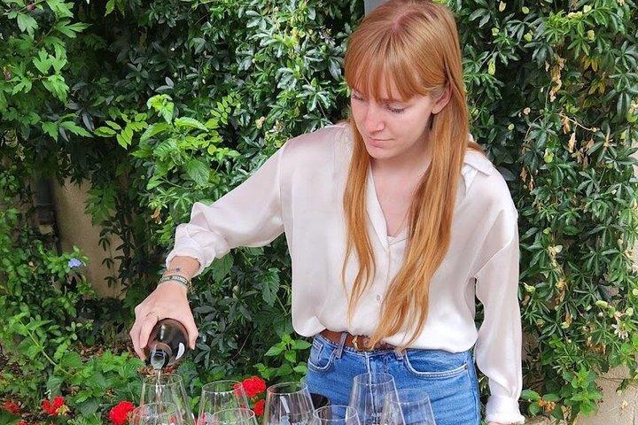 Privat Sancerre vingårdar och källare tur från Paris + Sommelier