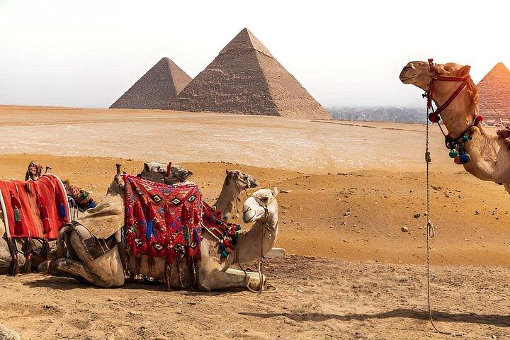 Vip TrainでCairo Luxor ALexanderiaをカバーする6ゴールデンデイズ