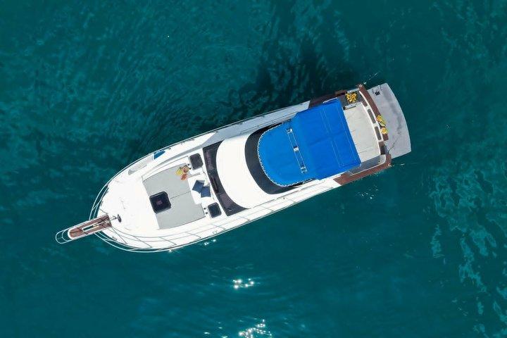 プライベートクルーズシュノーケリングサムイ島発ラップ島、タン島、ピッグ島