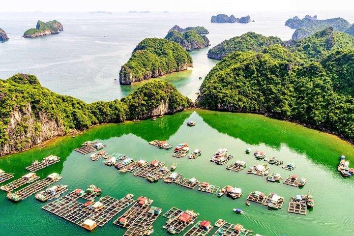 Aventura en canoa privada desde el puerto de Halong a Lan Ha Bay