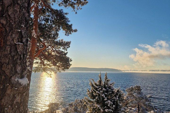 ノルウェー語野生動物ソーセージ付きマルモヤ島オスロフィヨルドツアー