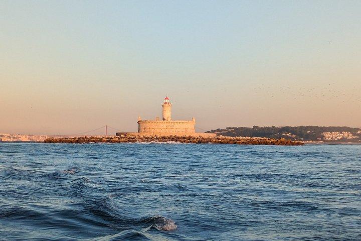100% Guarantee Lisbon Dolphin Watching Ocean Safari