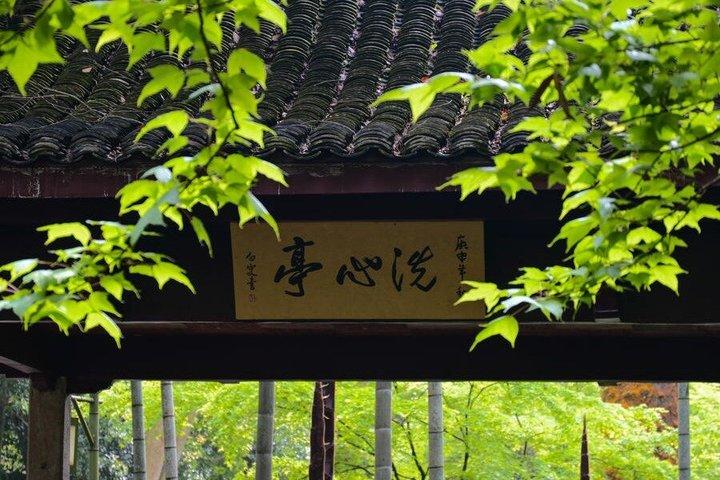 Hangzhou West Lake Hiking Day Trip Jiuxi and Longjing Village
