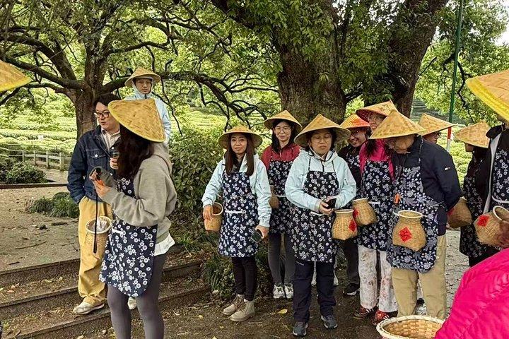Hangzhou West Lake Hiking Day Trip Jiuxi and Longjing Village