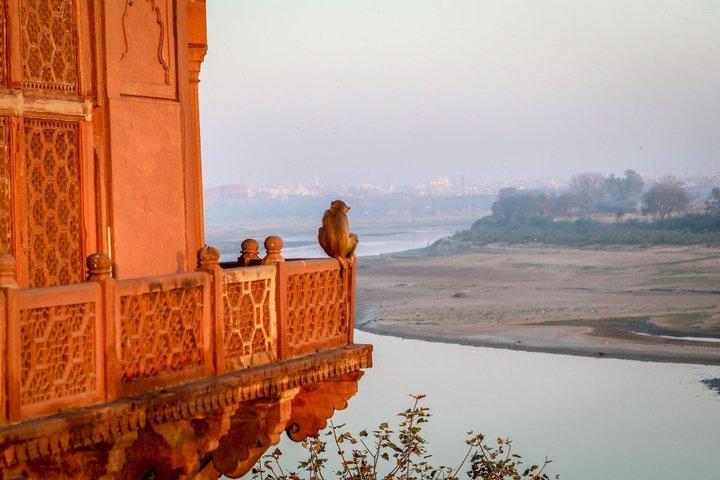 Agra Taj Mahal Ticket und Audiotour