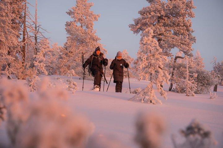 Explore a Silent Arctic Forest em Rovaniem