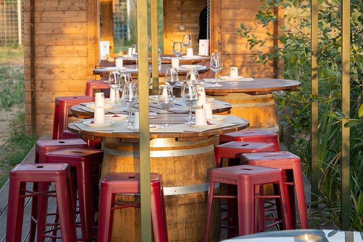 Super Tuscan Wine Tour by Carus Vini