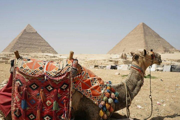 Groot Egyptisch Museum & Piramides vanuit de haven van Alexandrië