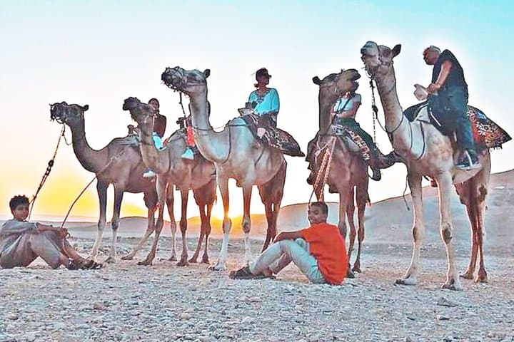 Camel Ride at the West Bank