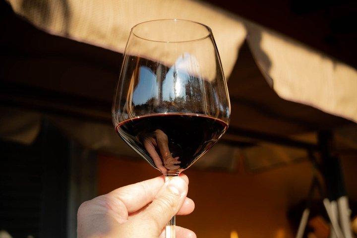 Spaniens vinresa: 5 ursprungsbeteckningar, 3 dagar