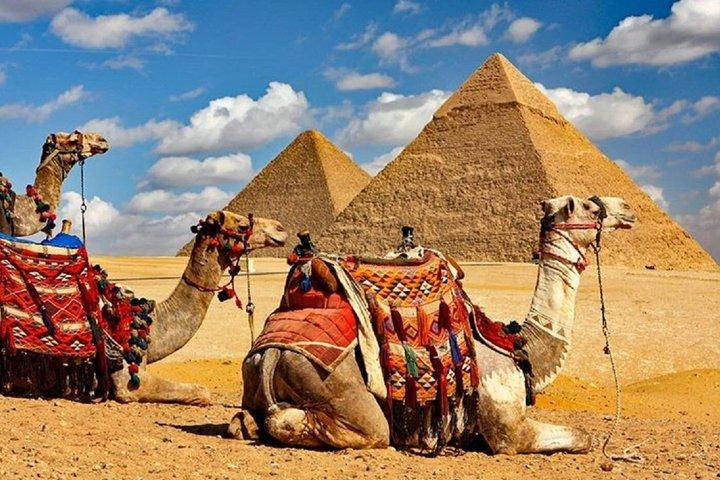 Giza & Saqqara from Alexandria Port
