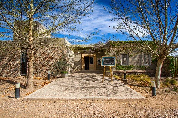 Wine-Tasting Tour from Maipú Mendoza Including Trapiche Winery