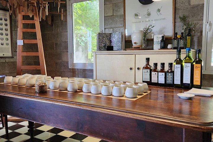 Wine-Tasting Tour from Maipú Mendoza Including Trapiche Winery