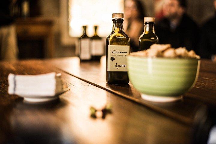 Wine-Tasting Tour from Maipú Mendoza Including Trapiche Winery