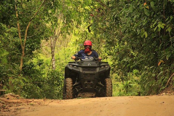 Explore the Jungle by off-road vehicle