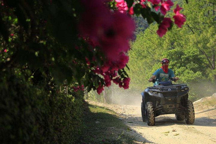 Explore the Jungle by off-road vehicle