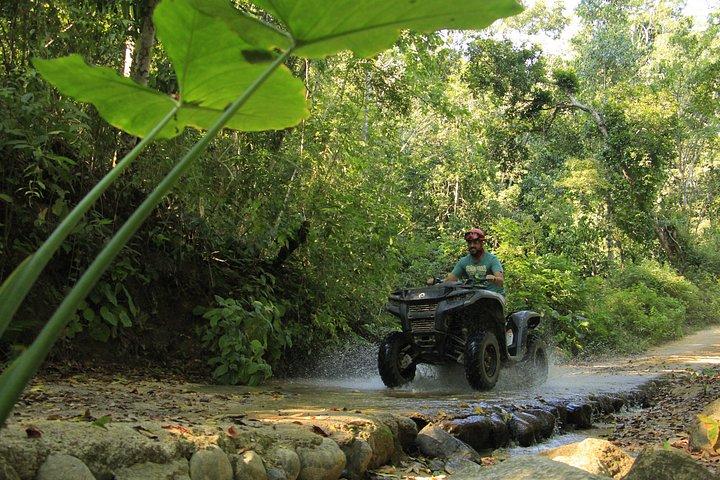 Explore the Jungle by off-road vehicle