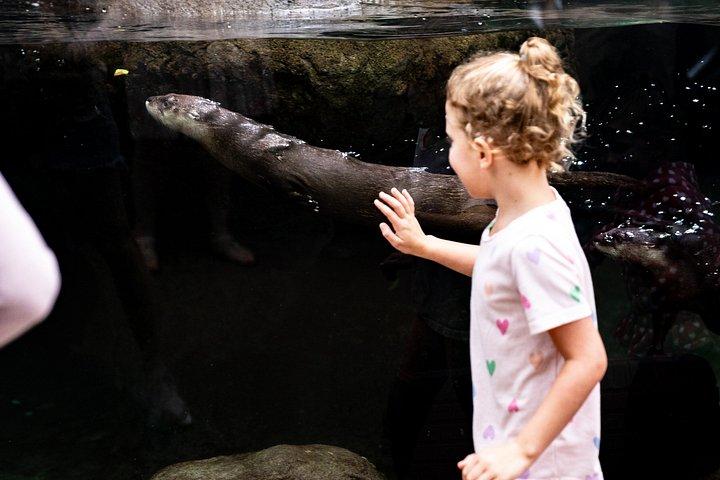 タンパのフロリダ水族館一般入場