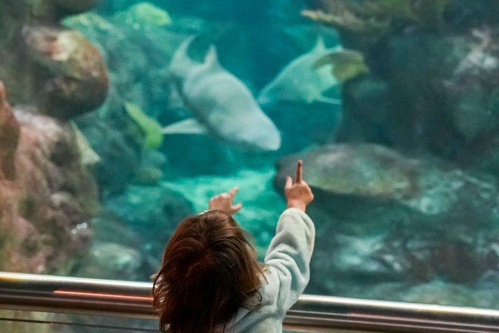 El Acuario de Florida en Tampa Admisión General
