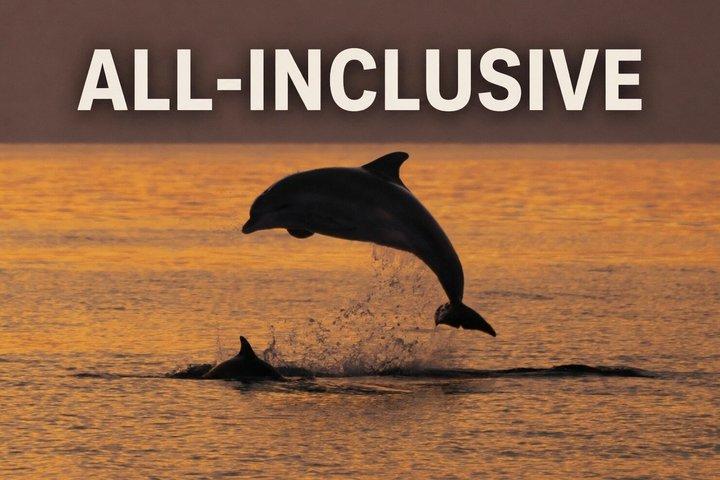 サンドラ島のメデューリンからサンセットドルフィンウォッチング3時間