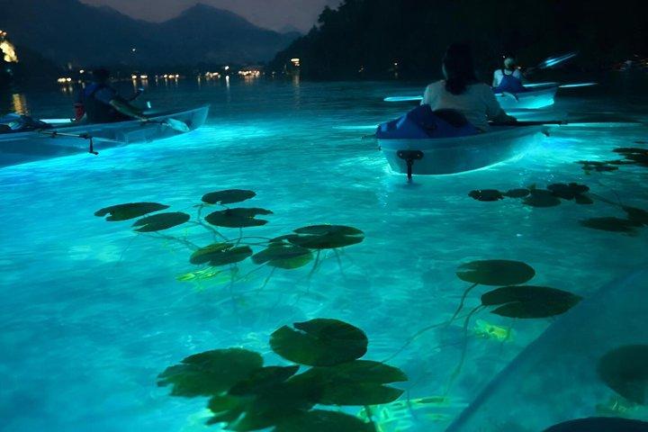 Tour in kayak trasparente con Guida Locale sul Lago di Bled
