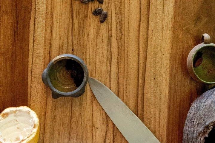 プエルトビエホはチョコレート作りのクラスに参加しています。豆からバーまで、チョコレートになろう！
