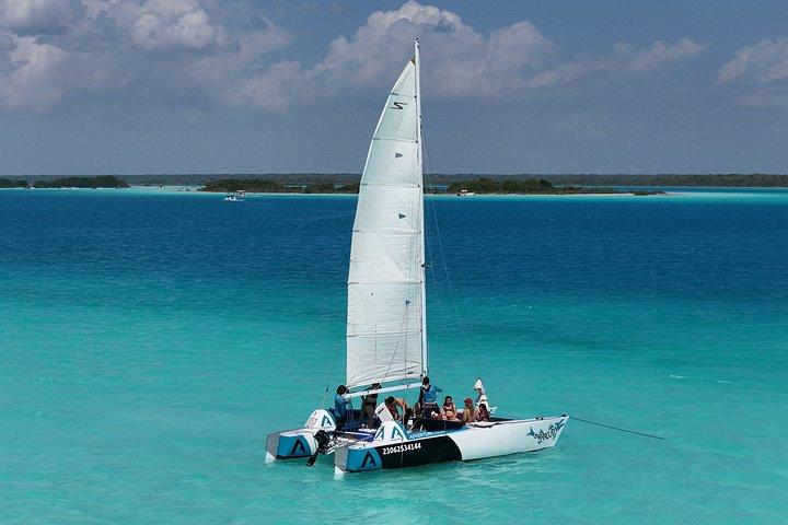 Excursão Privada Catamarã